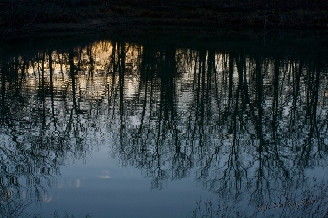 Back_Forty_Winter2012_6488-ripples