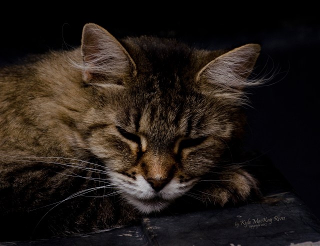 Back_Forty_Summer_2012_August_5_1064_Cynthia