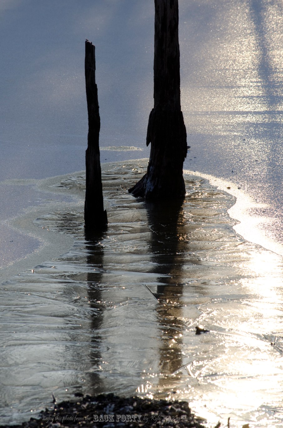 Back_Forty_Winter__January_2_2013__0027_ice&stump