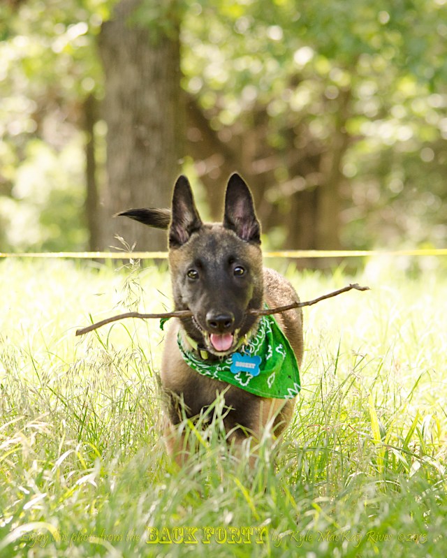 Don't You Want My Stick?